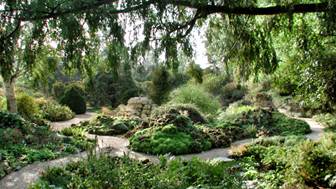 Description : jardin alpin