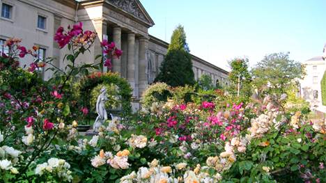 Description : jardin de roses et de roches