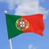 Rsultat de recherche d'images pour "image du drapeaux portugal"