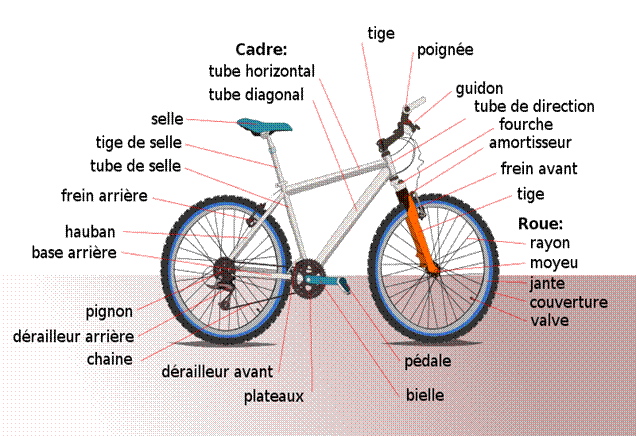 File:Diagramme bicyclette.svg